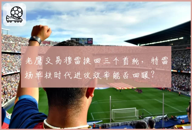 老鹰交易穆雷换回三个首轮，特雷杨单核时代进攻效率能否回暖？