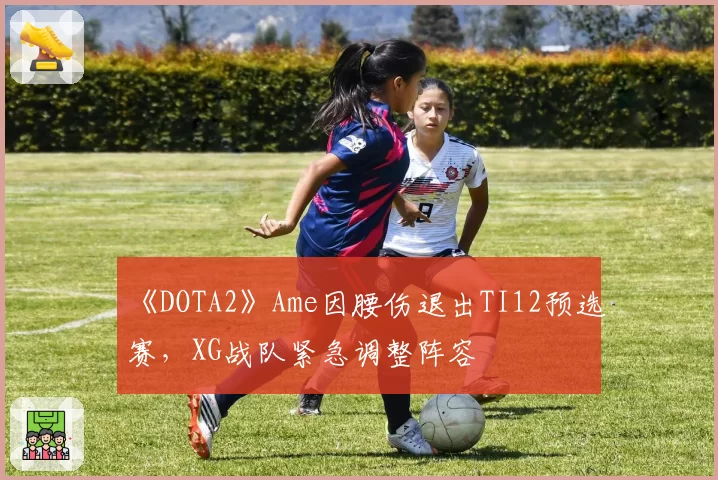 《DOTA2》Ame因腰伤退出TI12预选赛，XG战队紧急调整阵容
