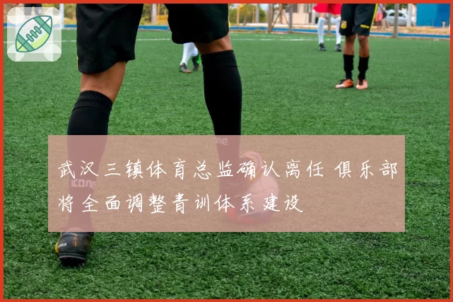 武汉三镇体育总监确认离任 俱乐部将全面调整青训体系建设
