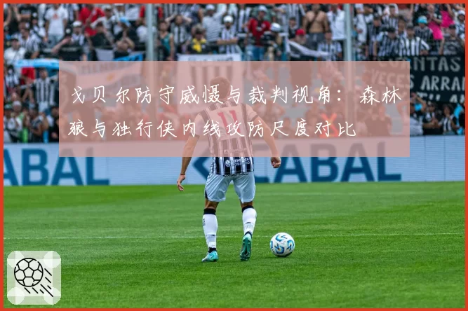 戈贝尔防守威慑与裁判视角:森林狼与独行侠内线攻防尺度对比