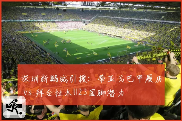 深圳新鹏城引援:蒂亚戈巴甲履历 vs 拜合拉木U23国脚潜力
