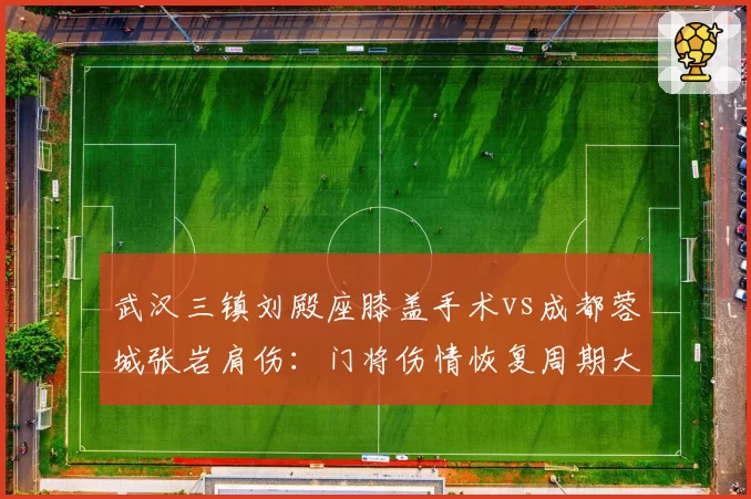 武汉三镇刘殿座膝盖手术vs成都蓉城张岩肩伤:门将伤情恢复周期大比拼