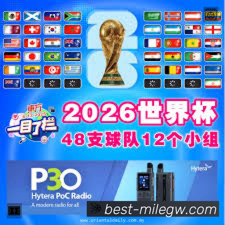奖项证书